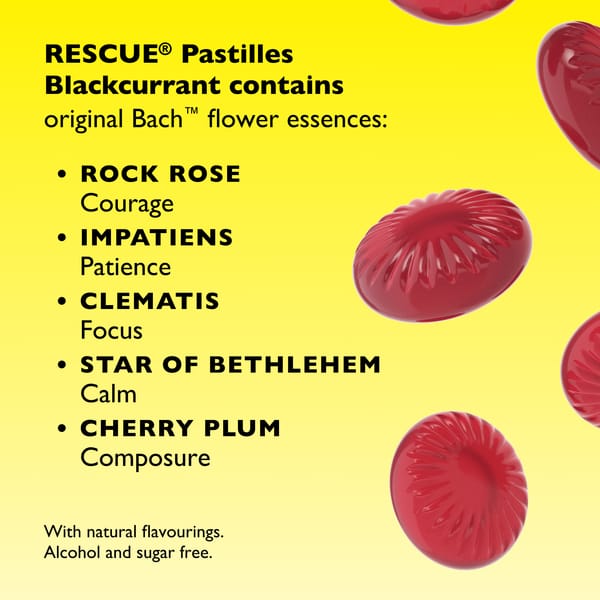 RESCUE® Pastilles Blackcurrant - Image 4